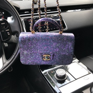 Chanel Handbags 1053